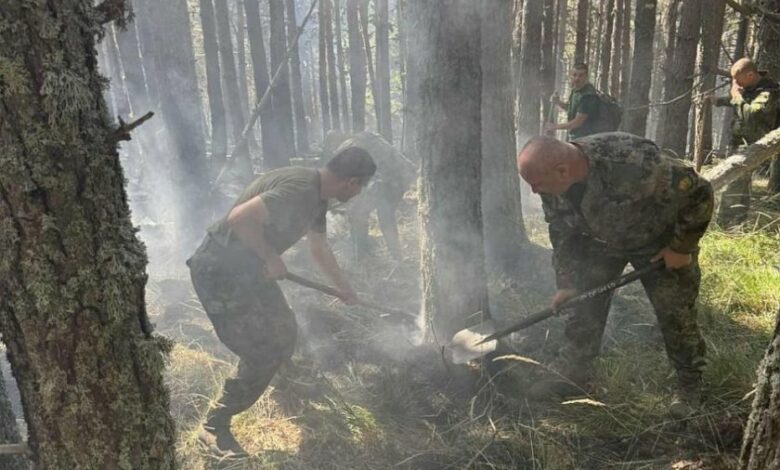 Трети ден се борят с огнената стихия в Рила
