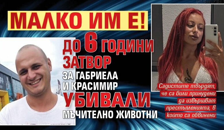 Малко им е! До 6 години затвор за Габриела и Красимир, убивали мъчително животни
