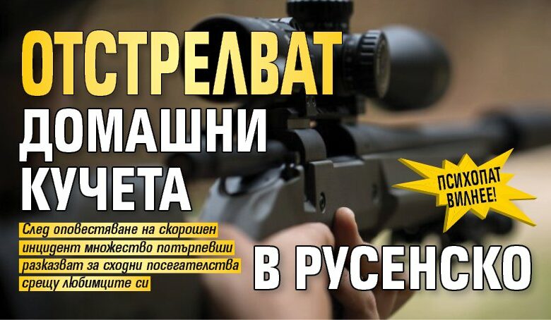 Психопат вилнее! Отстрелват домашни кучета в Русенско
