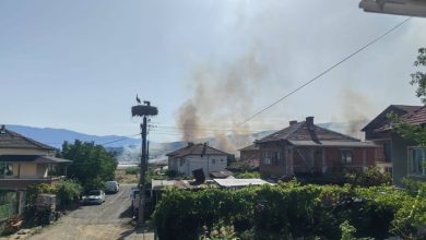 Локализираха пожара край петричкото село Кърналово
