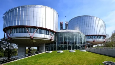 Осъдиха България да плати 23 000 евро на пребит британски гражданин след Левски - ЦСКА