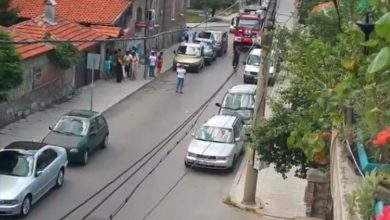 Полицаи глобиха шофьори на автошествие за циганска сватба в Исперих и Разград