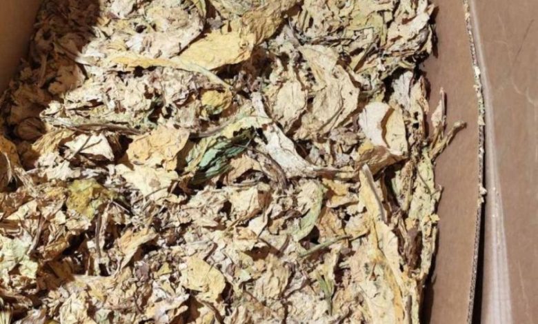 Полицията откри 7400 контрабандни вейпа в бус и разби домашна работилница за тютюн