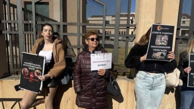 Протестиращи настояват за строги наказания при насилие над животни
