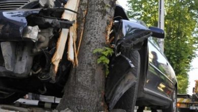 Шофьор се удари в дърво и загина в Пловдивско