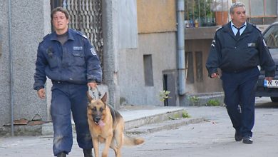 Трима мъже отвлякоха жена и двете й деца в Благоевград