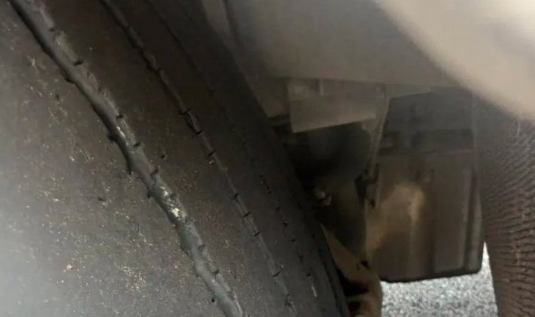 Вижте с какви "цъфнали джапанки" се движат камионите по магистралите (СНИМКИ)