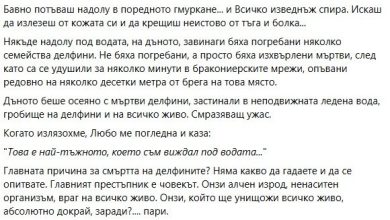 Зловещо ВИДЕО под водата: На десетки мъртви делфини се натъкнаха водолази край Приморско