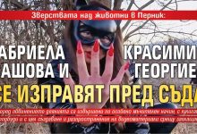 Зверствата над животни в Перник: Габриела Сашова и Красимир Георгиев се изправят пред съда