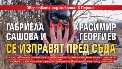 Зверствата над животни в Перник: Габриела Сашова и Красимир Георгиев се изправят пред съда