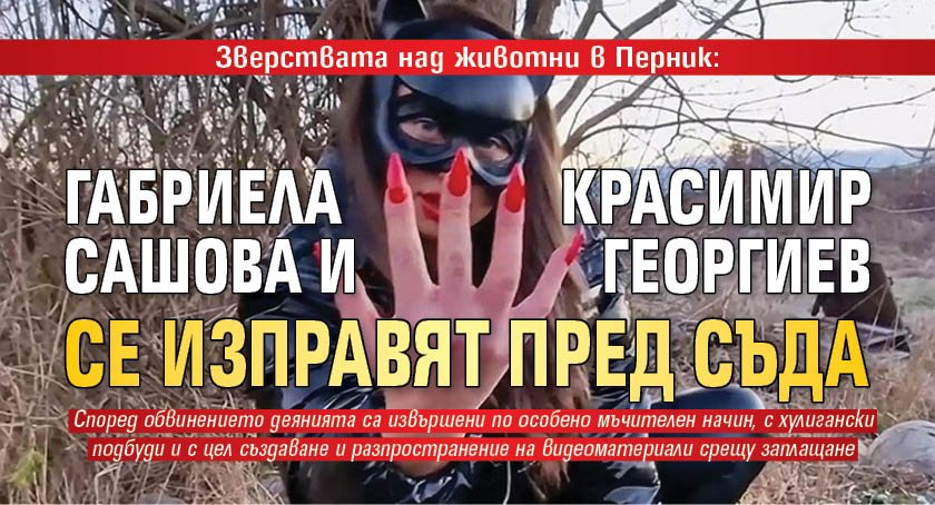 Зверствата над животни в Перник: Габриела Сашова и Красимир Георгиев се изправят пред съда