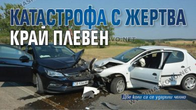 Катастрофа с жертва край Плевен