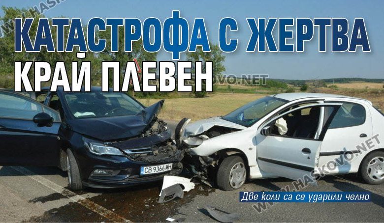 Катастрофа с жертва край Плевен