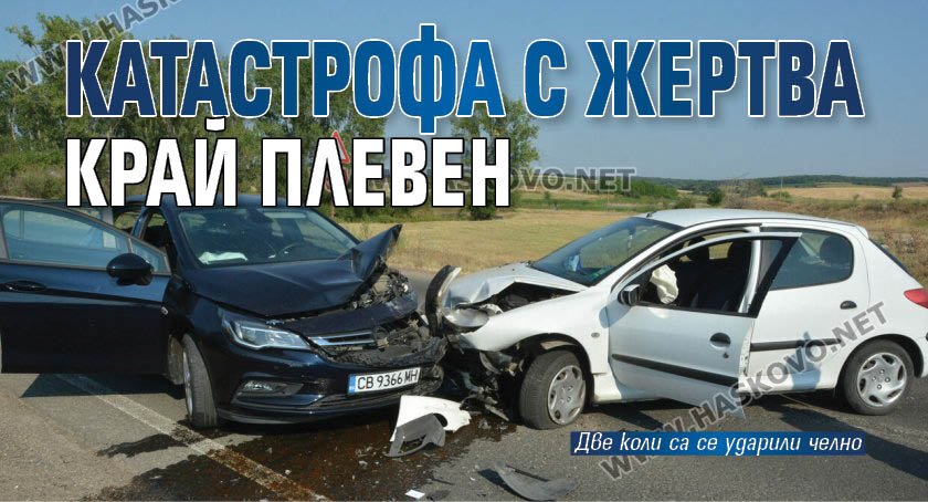 Катастрофа с жертва край Плевен