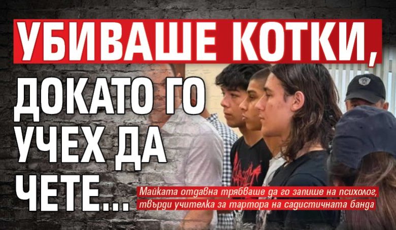 Класната на единия убиец в Пловдив: Убиваше котки, докато го учех да чете...