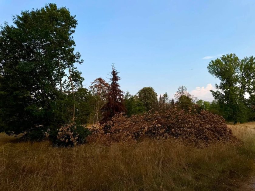 Кой остави парк "Врана" да тъне в мизерия и разруха? (СНИМКИ)