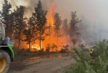 Над 150 пожара са гасили огнеборците вчера