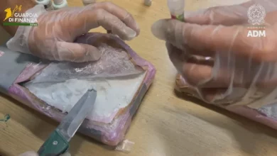 Наш тираджия е арестуван в Италия с дрога за над 3 млн. евро (СНИМКИ)