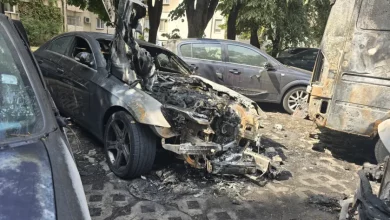 Пет коли изгоряха при пожар в Пловдив