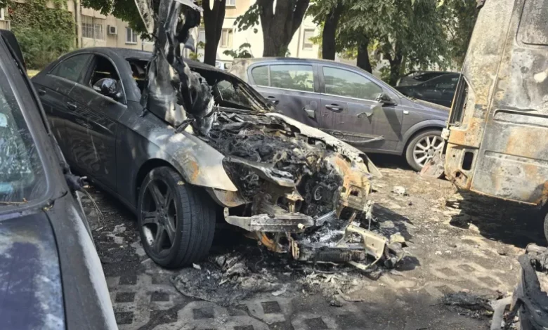 Пет коли изгоряха при пожар в Пловдив