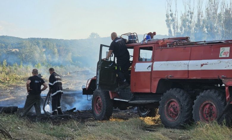 Пожар изпепели 700 декара край Симеоновград