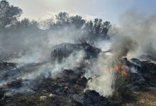 Пожарът край петричкото село Рупите отново се е разгорял