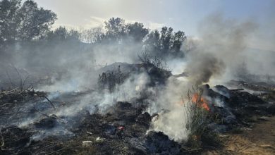 Пожарът край петричкото село Рупите отново се е разгорял