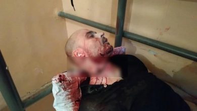 "Оккупай-педофиляй“ - вижте руската нацистка свиня Тесак, от която са се учили нашите изродчета