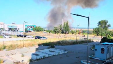 Сухи треви се запалиха в Стара Загора