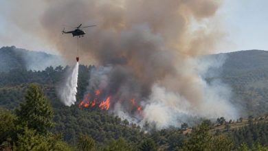 Задържаха двама души за пожара между Медвен и Градец на 20 август