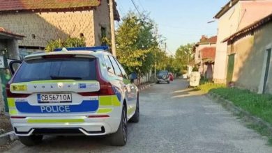 Звяр Кане Корсо обезобрази 6-годишно дете в село Кънчево