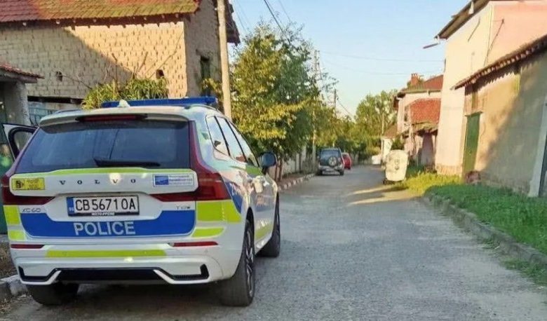 Звяр Кане Корсо обезобрази 6-годишно дете в село Кънчево