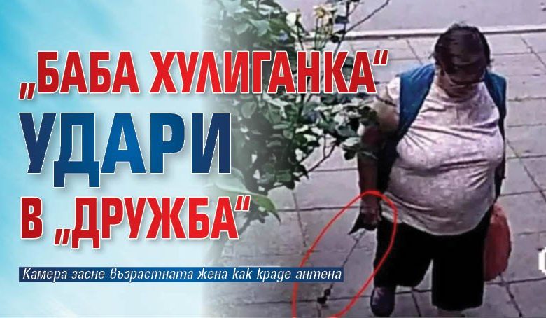 &bdquo;Баба хулиганка&ldquo; удари в &bdquo;Дружба&ldquo;